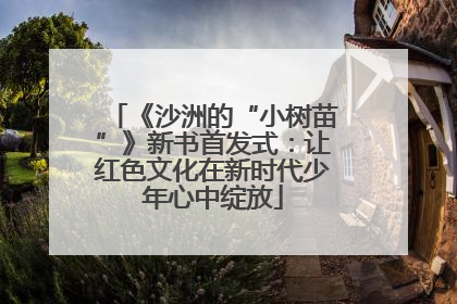 《沙洲的“小树苗”》新书首发式：让红色文化在新时代少年心中绽放