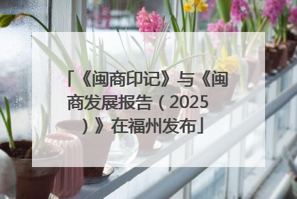 《闽商印记》与《闽商发展报告（2025）》在福州发布