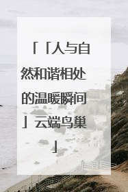 「人与自然和谐相处的温暖瞬间」云端鸟巢