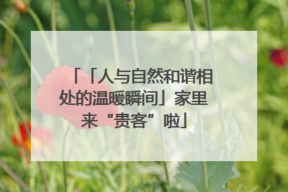 「人与自然和谐相处的温暖瞬间」家里来“贵客”啦