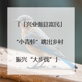 「兴业强县富民」“小青蛙”跳出乡村振兴“大步伐”