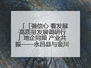 「强信心 看发展·高质量发展调研行」地企同频 产业共振——永昌县与金川集团地企融合推动重大项目建设