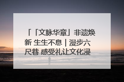 「文脉华章」非遗焕新 生生不息｜漫步六尺巷 感受礼让文化浸润的“巷”往生活