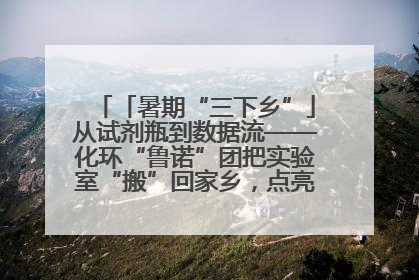 「暑期“三下乡”」从试剂瓶到数据流——化环“鲁诺”团把实验室“搬”回家乡，点亮桑梓求知路