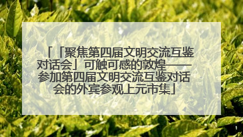 「聚焦第四届文明交流互鉴对话会」可触可感的敦煌——参加第四届文明交流互鉴对话会的外宾参观上元市集