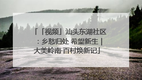 「视频」汕头东湖社区：乡愁归处 希望新生｜大美岭南·百村焕新记