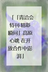 「青洽会特刊·精彩瞬间」高原心跳 在开放合作中澎湃
