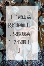 “灵山荔枝堆积如山，只能贱卖”？假的！