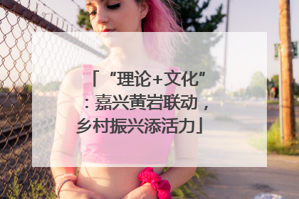“理论+文化”：嘉兴黄岩联动，乡村振兴添活力