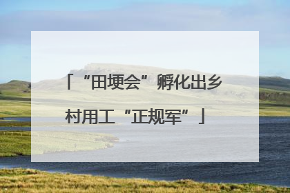 “田埂会”孵化出乡村用工“正规军”