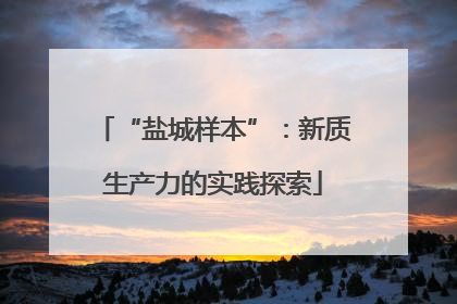 “盐城样本”：新质生产力的实践探索