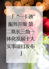 “一卡通”服务升级 第二批长三角一体化发展十大实事项目发布