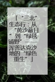 “三北”生态行：从“黄沙蔽日”到“绿毯铺野”——浑善达克沙地的“绿色重生”