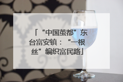 “中国茧都”东台富安镇：“一根丝”编织富民路