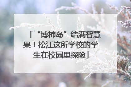 “博柿岛”结满智慧果！松江这所学校的学生在校园里探险