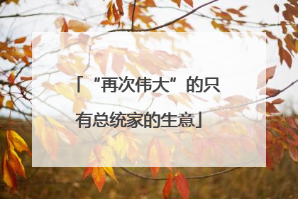 “再次伟大”的只有总统家的生意