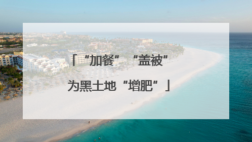 “加餐”“盖被” 为黑土地“增肥”