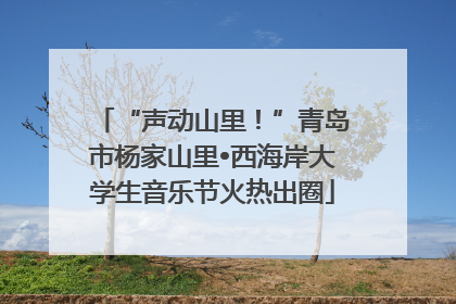 “声动山里！”青岛市杨家山里•西海岸大学生音乐节火热出圈