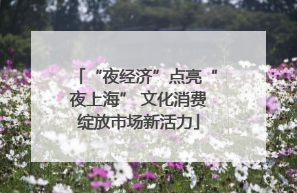 “夜经济”点亮“夜上海” 文化消费绽放市场新活力