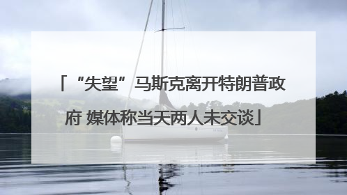 “失望”马斯克离开特朗普政府 媒体称当天两人未交谈
