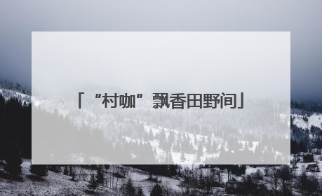 “村咖”飘香田野间