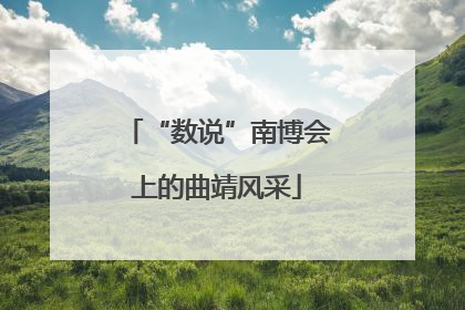 “数说”南博会上的曲靖风采