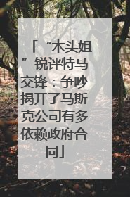 “木头姐”锐评特马交锋：争吵揭开了马斯克公司有多依赖政府合同
