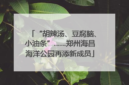 “胡辣汤、豆腐脑、小油条”……郑州海昌海洋公园再添新成员