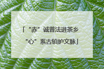 “赤”诚普法进茶乡 “心”系古镇护文脉