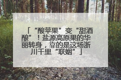 “酸苹果”变“甜酒酿”！盐源高原果的华丽转身，靠的是这场浙川千里“联姻”