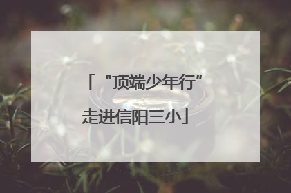 “顶端少年行”走进信阳三小