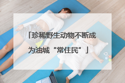 珍稀野生动物不断成为油城“常住民”