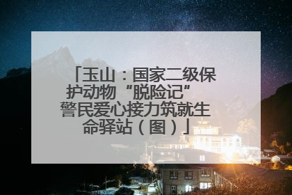 玉山：国家二级保护动物“脱险记” 警民爱心接力筑就生命驿站（图）