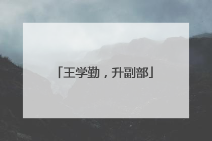 王学勤，升副部