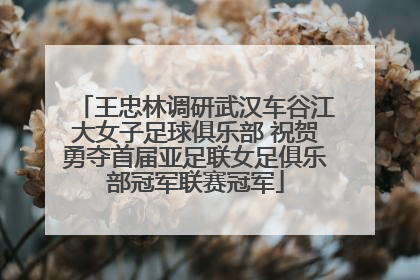 王忠林调研武汉车谷江大女子足球俱乐部 祝贺勇夺首届亚足联女足俱乐部冠军联赛冠军