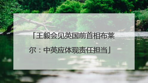 王毅会见英国前首相布莱尔：中英应体现责任担当