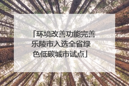 环境改善功能完善 乐陵市入选全省绿色低碳城市试点