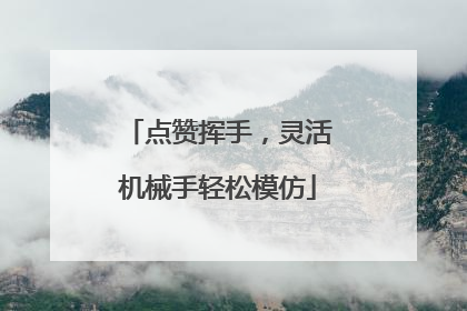 点赞挥手，灵活机械手轻松模仿