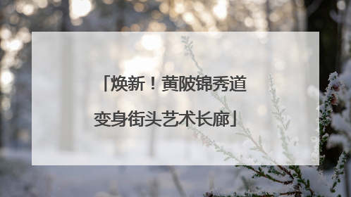 焕新！黄陂锦秀道变身街头艺术长廊