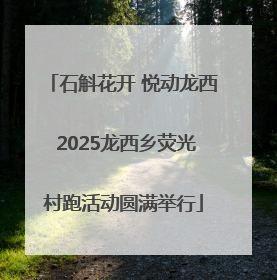 石斛花开 悦动龙西 2025龙西乡荧光村跑活动圆满举行