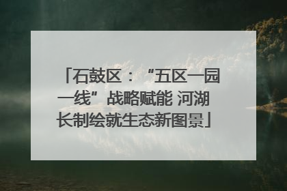石鼓区：“五区一园一线”战略赋能 河湖长制绘就生态新图景