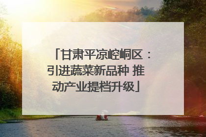 甘肃平凉崆峒区：引进蔬菜新品种 推动产业提档升级