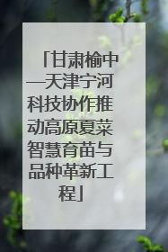 甘肃榆中—天津宁河科技协作推动高原夏菜智慧育苗与品种革新工程