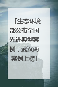 生态环境部公布全国先进典型案例，武汉两案例上榜