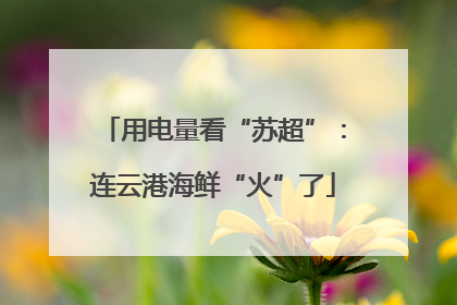用电量看“苏超”：连云港海鲜“火”了
