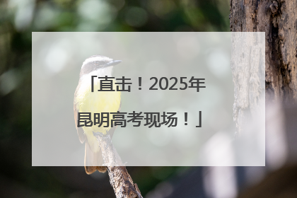 直击！2025年昆明高考现场！