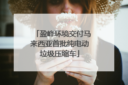 盈峰环境交付马来西亚首批纯电动垃圾压缩车