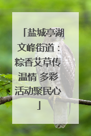 盐城亭湖文峰街道：粽香艾草传温情 多彩活动聚民心