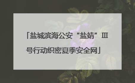 盐城滨海公安“盐靖”Ⅲ号行动织密夏季安全网