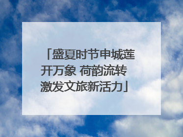盛夏时节申城莲开万象 荷韵流转激发文旅新活力